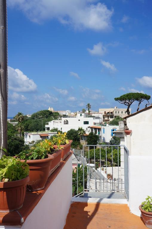 Ring Hostel Forio  Exterior photo